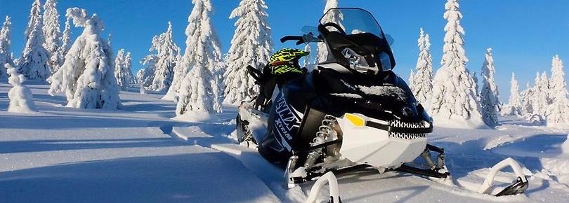 Snötyngda granar med skoter i förgrunden.