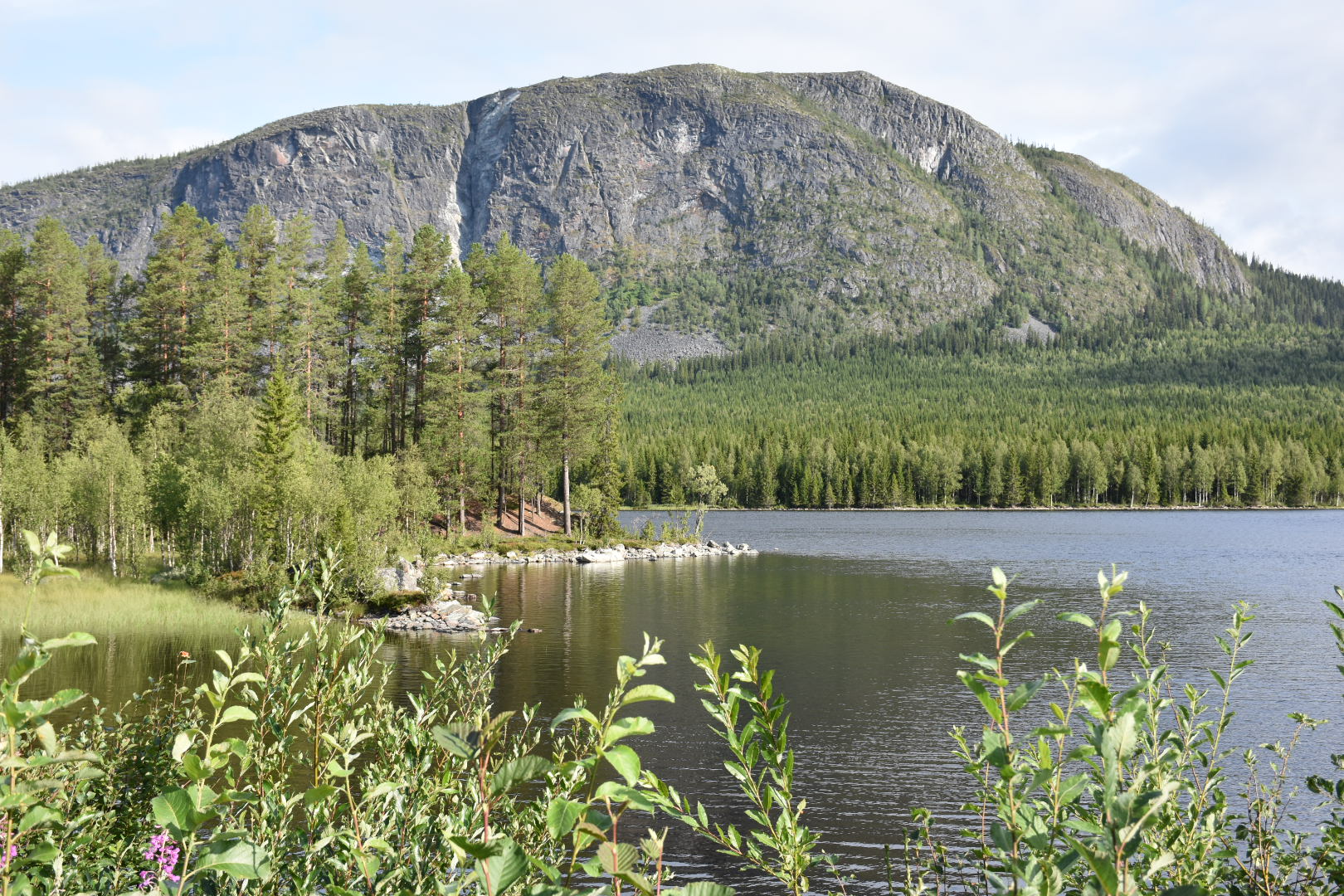 Fågelberget augusti 2019