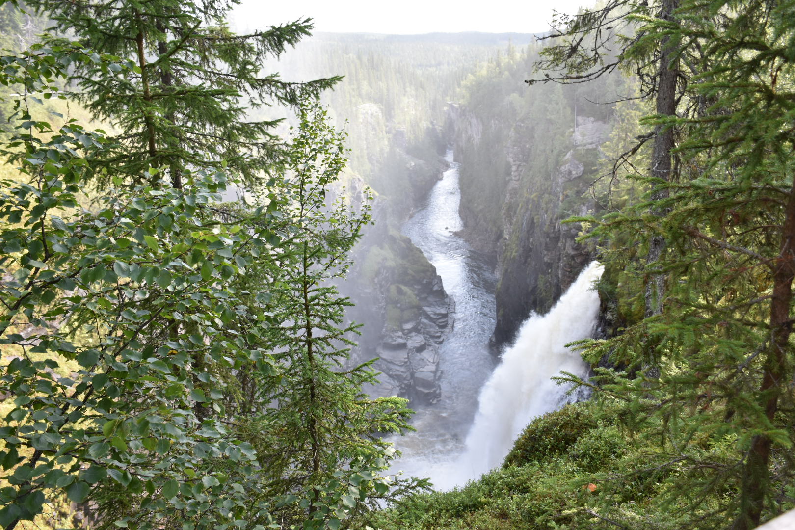 Hällingsåfallet augusti 2019