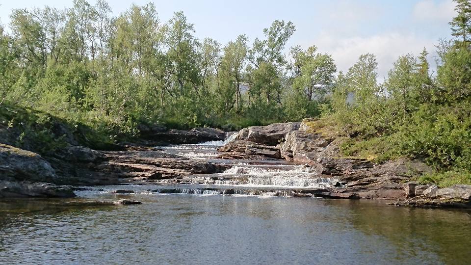 Brakkån 2018.