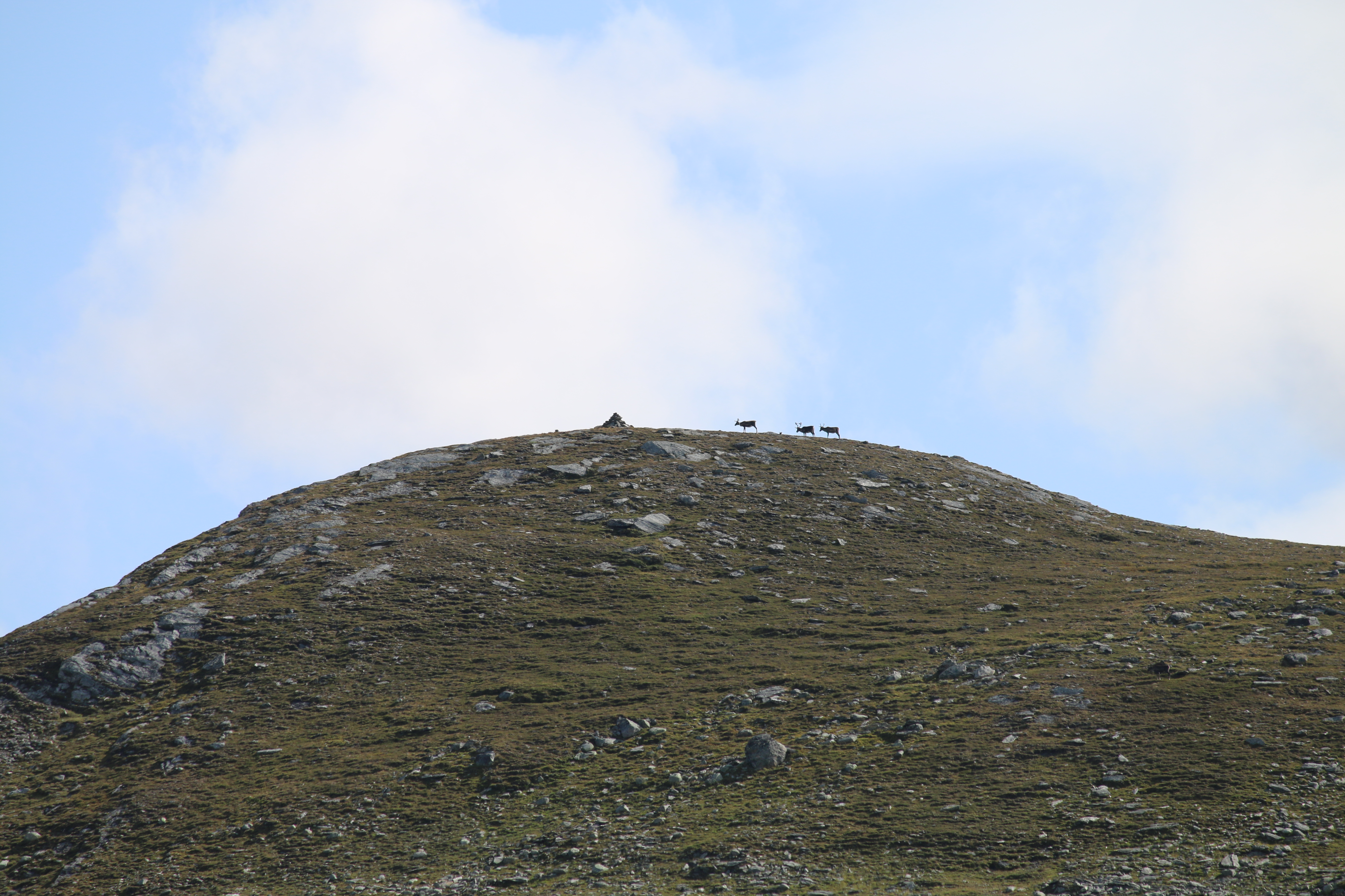 Norra Borgafjällen