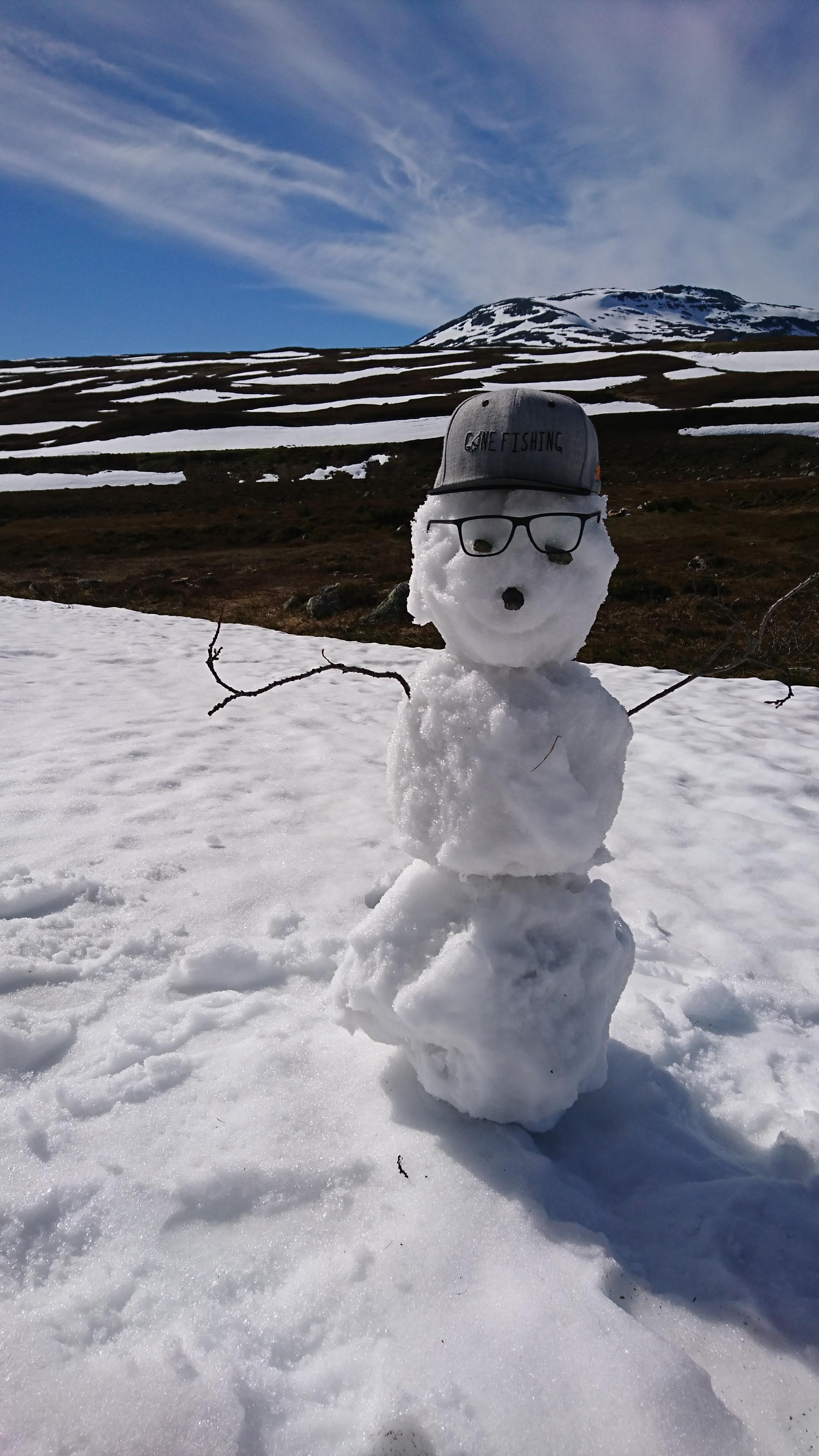 Snögubbe i juni 2018