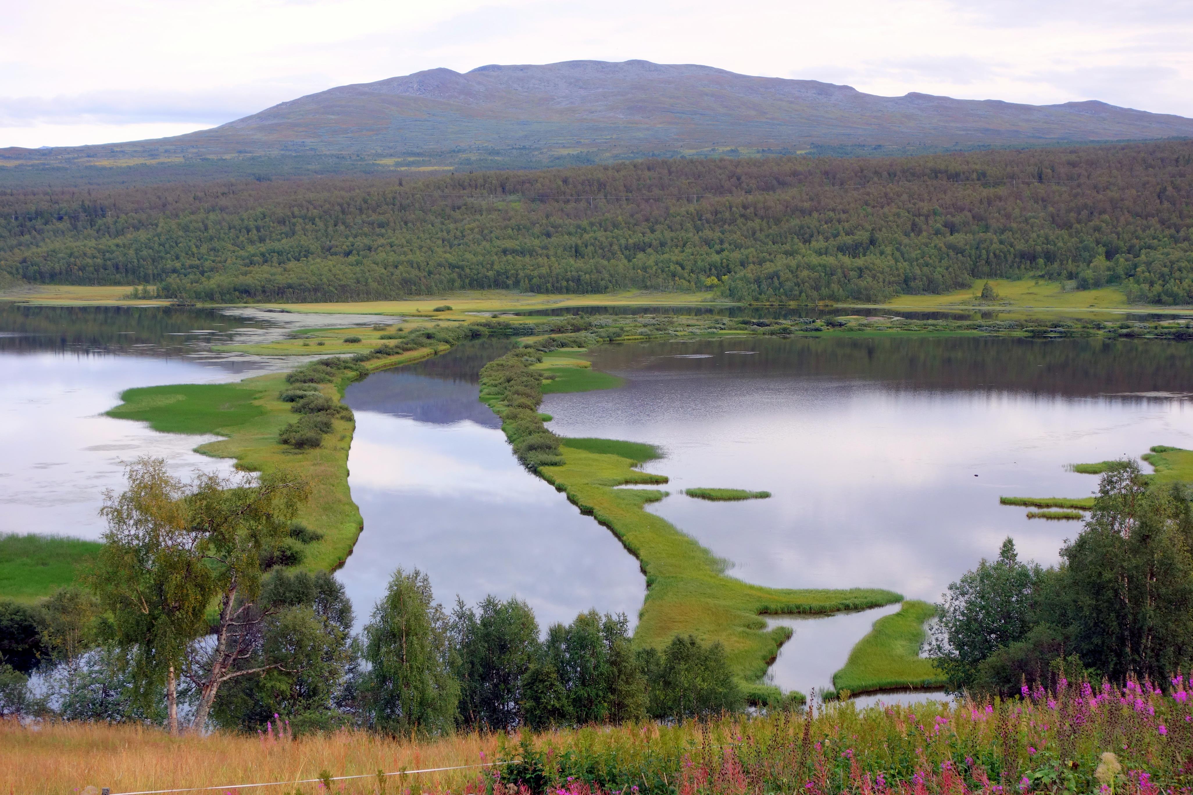 Klimpfjäll, Grön skärgård från Vildmarksvägen.