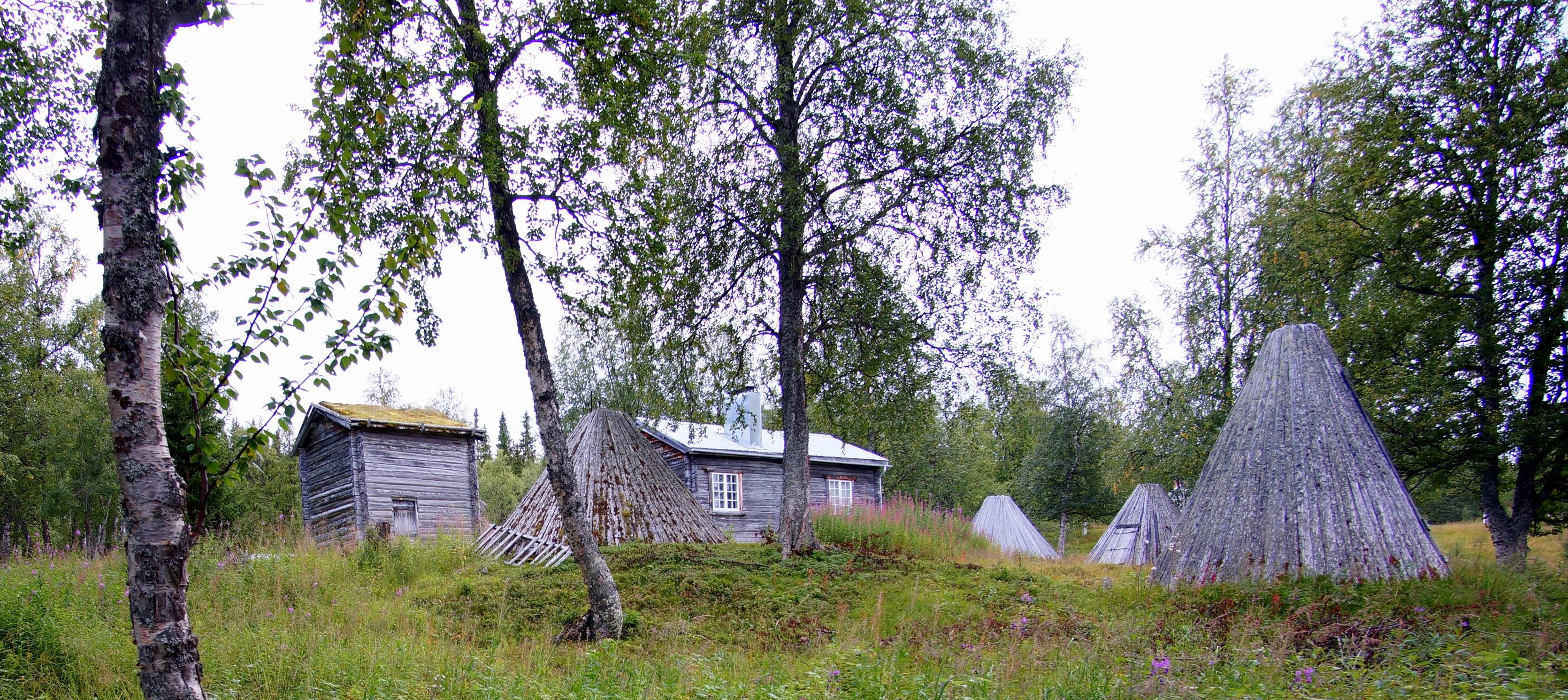 Fatmomakke, Höstfriden vilar över Fatmomakke