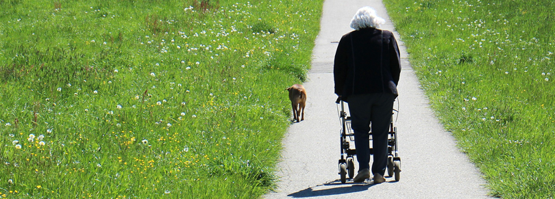 Omslagsbild: Hjälpmedel