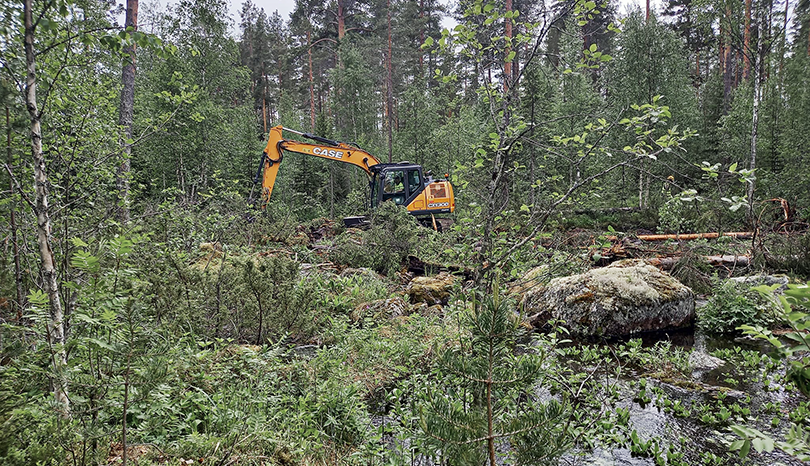 Skogsmaskin röjer i skog.