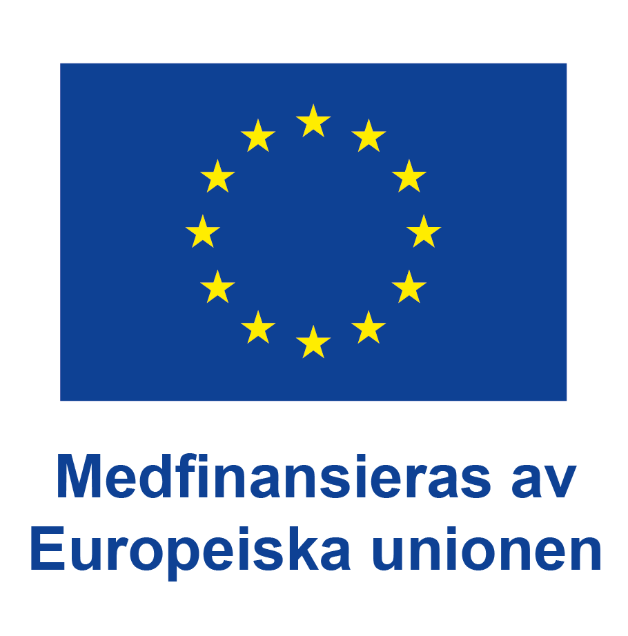 Logotyp för Europeiska unionen