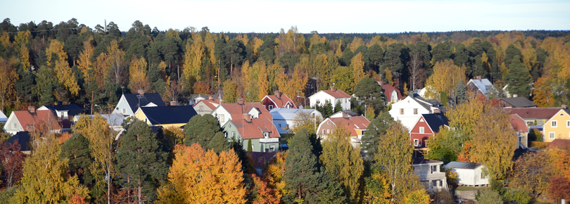 Villor i bostadsområde.